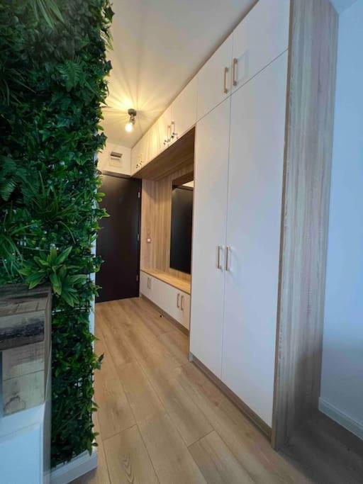 Cosy Appartement Green Life Bansko Exteriér fotografie